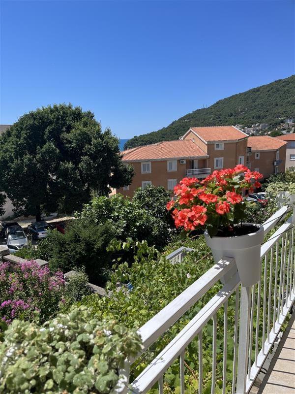 Apartmani Neda Bane Petrovac Zewnętrze zdjęcie