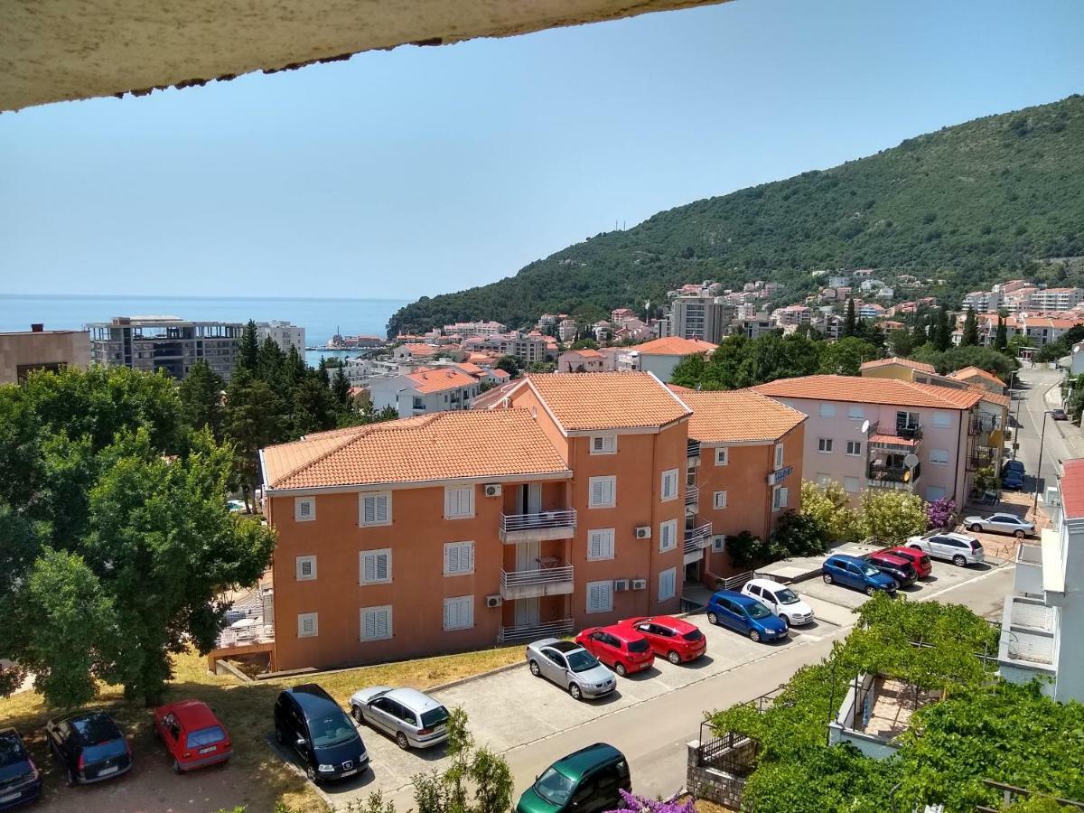 Apartmani Neda Bane Petrovac Zewnętrze zdjęcie