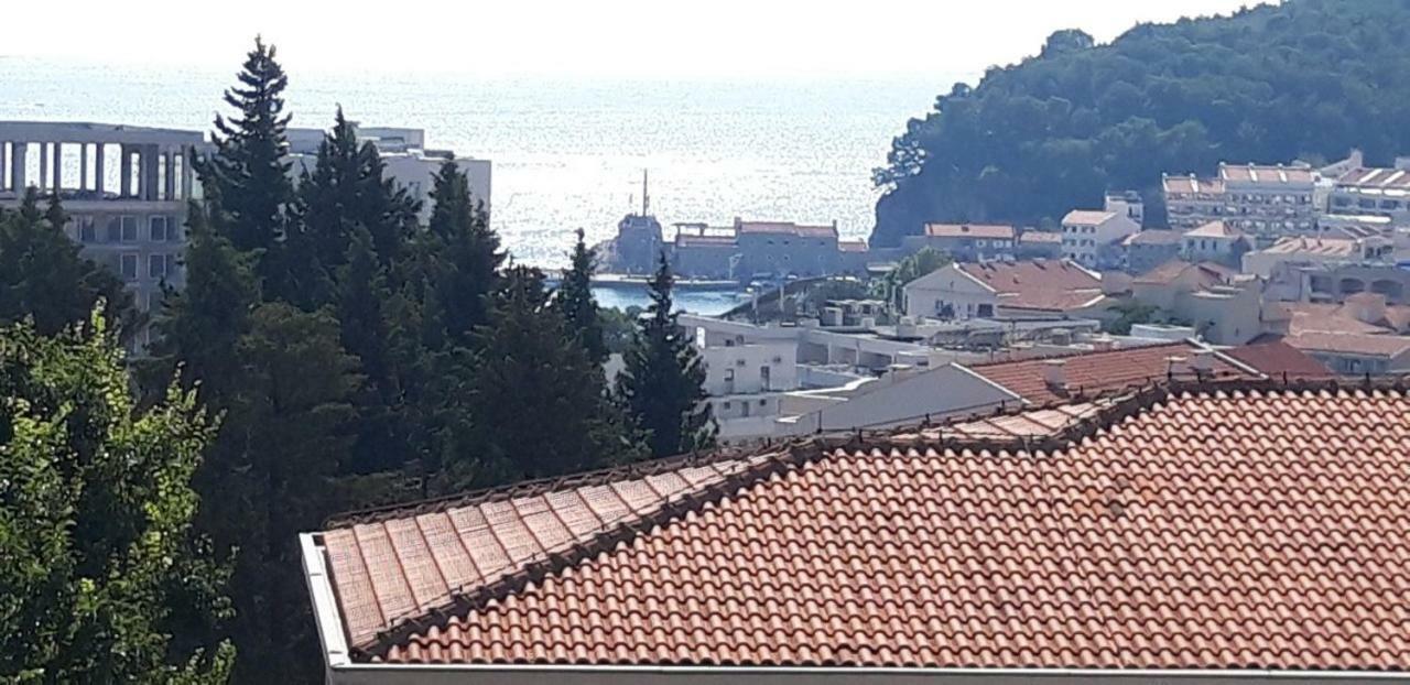 Apartmani Neda Bane Petrovac Zewnętrze zdjęcie